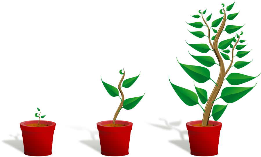 Pics Of Pot Plants | Free Download Clip Art | Free Clip Art | on ...