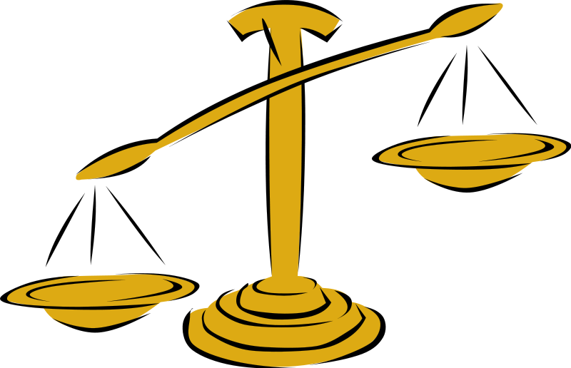 CHECKS AND BALANCES | WIRL Project