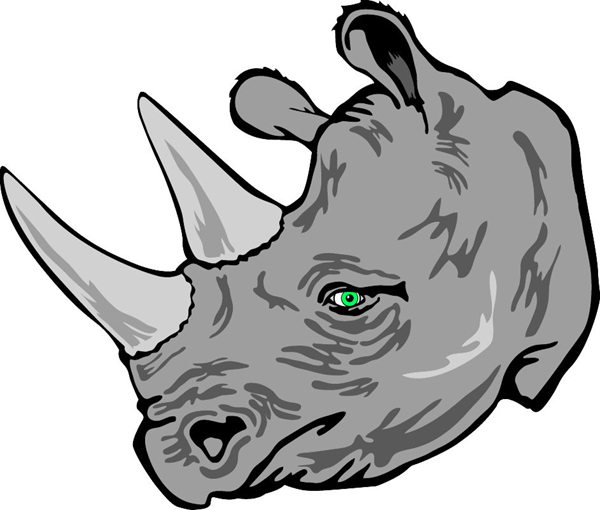 Rhino Head Drawing