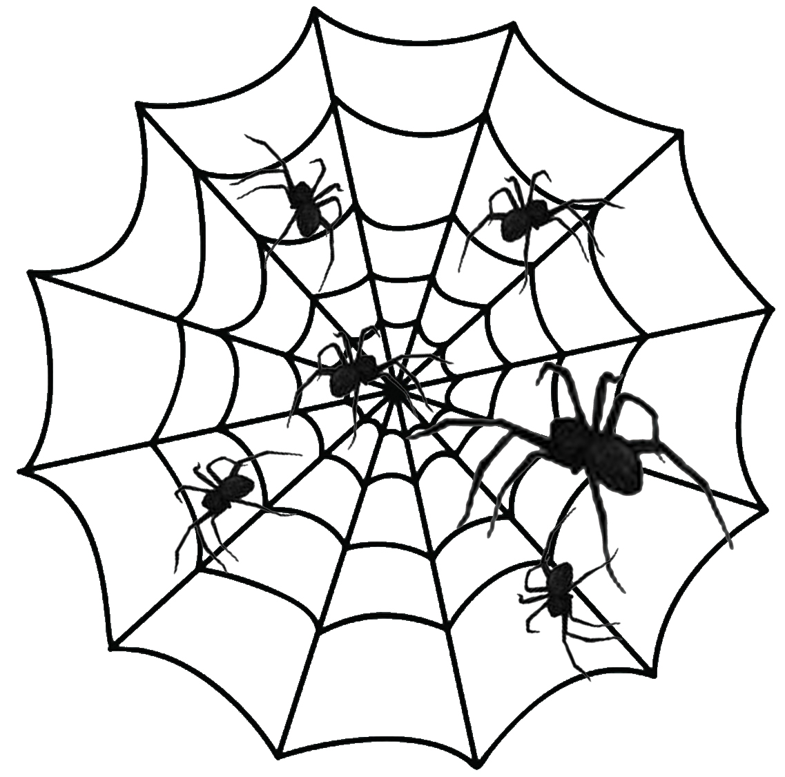 Halloween-Web-Spiders.jpg