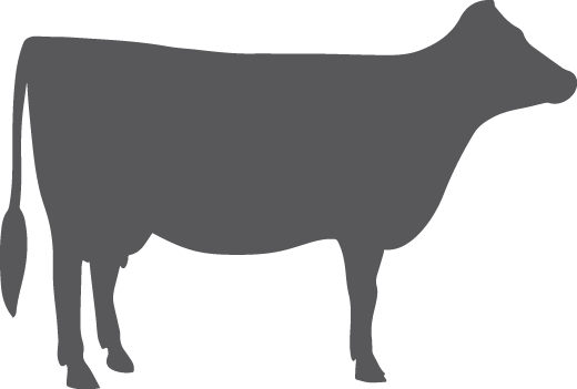 Home | Arm & Hammer Animal Nutrition