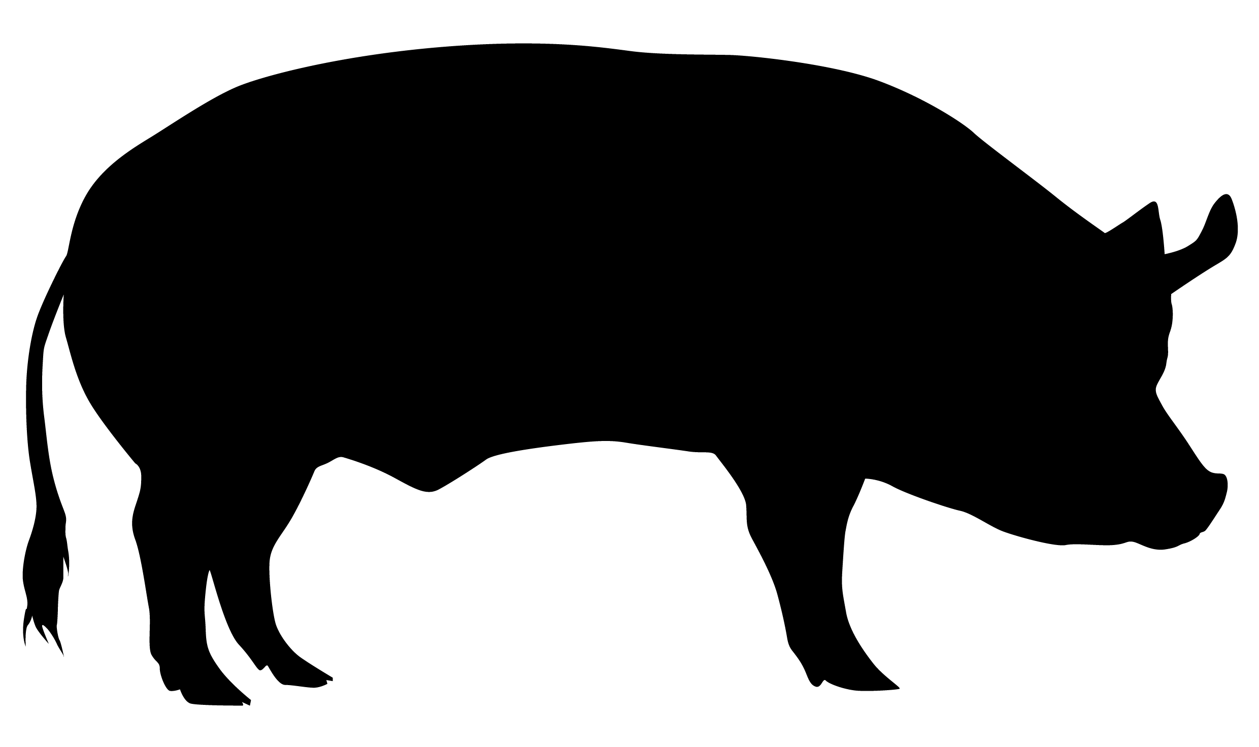 animaux/silhouettes | Visuels L214