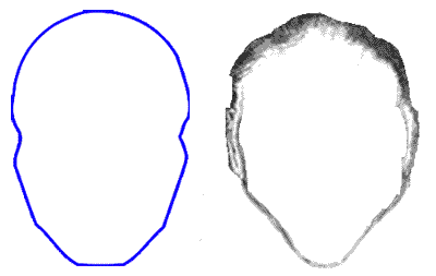Outline Of A Person Template