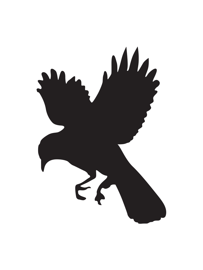 bird7-48x64.jpg