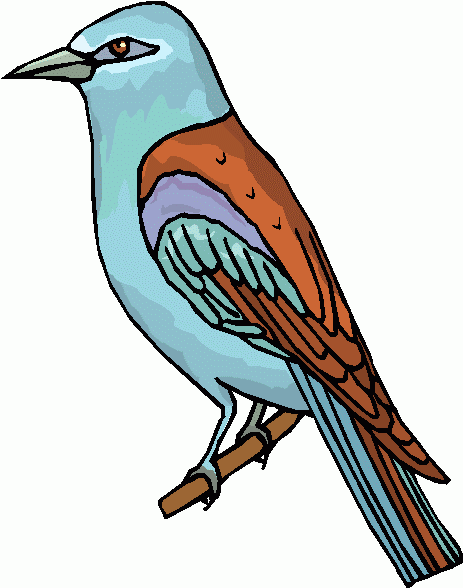 bird_perched_8 clipart - bird_perched_8 clip art