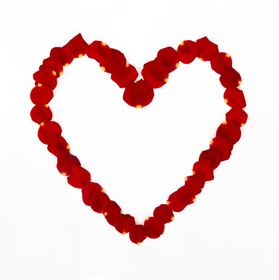 Heart Shape Created With Red Rose Petals Photograph by Rosemary ...