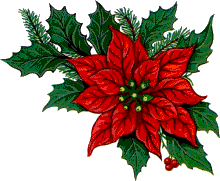 Christmas flowers Graphics and Animated Gifs. Christmas flowers