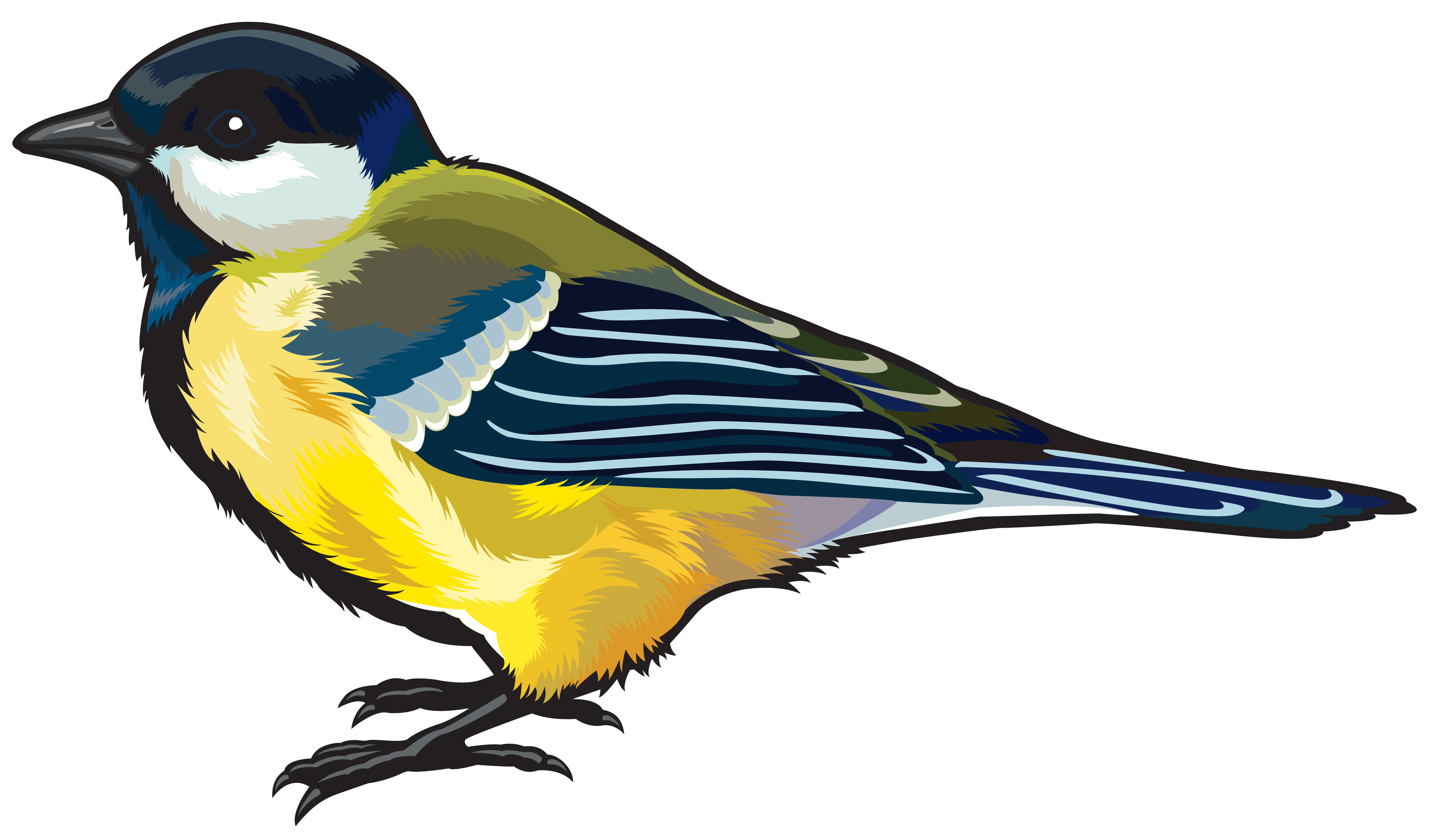 Large Bird PNG Clipart Image