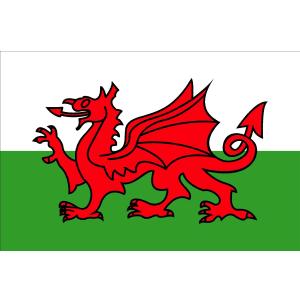 Wales Courtesy Flag 30cm x 45cm.