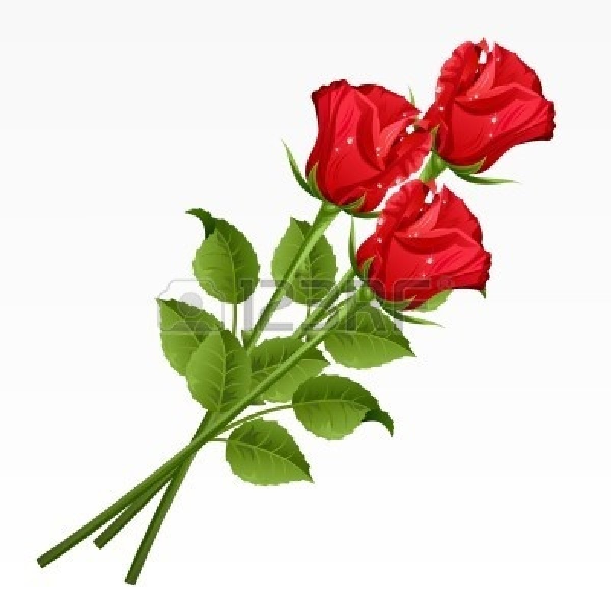 Single Rose Clipart