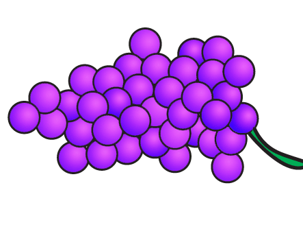 Grapes Clipart