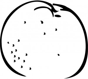 Orange clipart outline
