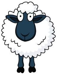 Sheep Cartoon | Sheep Drawing, Easy ...