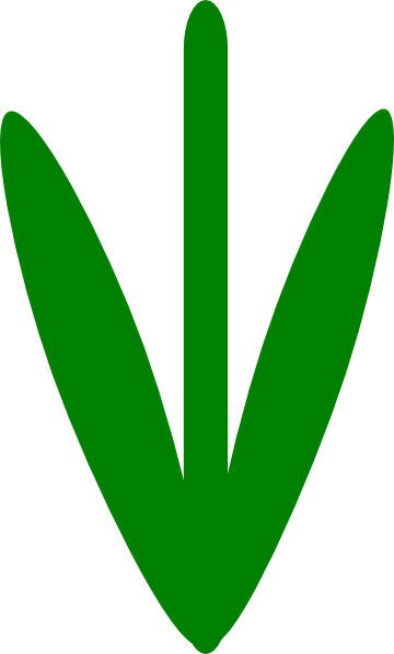 Flower stem clipart