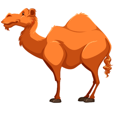 Camel Cartoon Pictures - Funny Camel Pictures