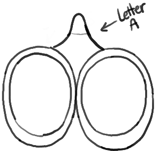 How to Draw Scissors with Easy Step by Step Drawing Tutorial - How ...