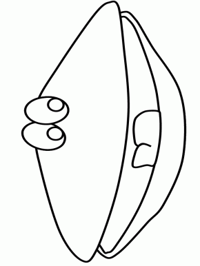 coloring page sea shell clip art. coloring clam shells and animal ...