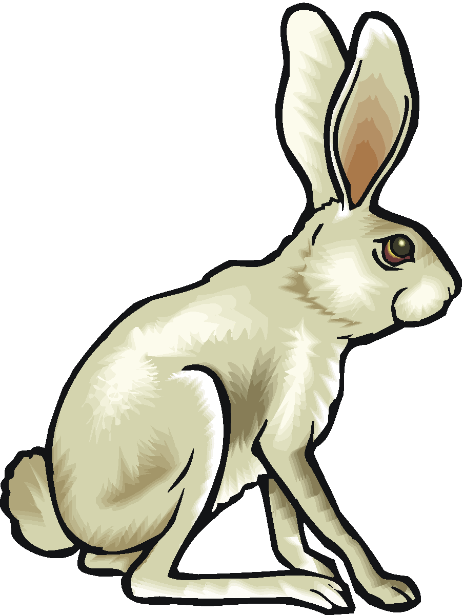 Rabbit Clipart