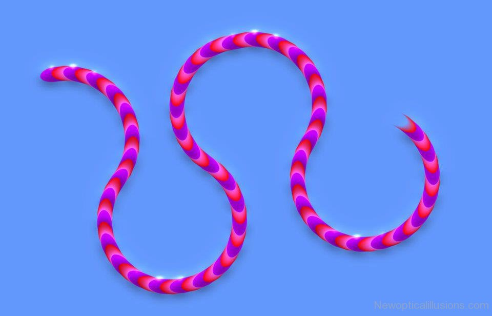 Moving Optical Illusions - Page 7