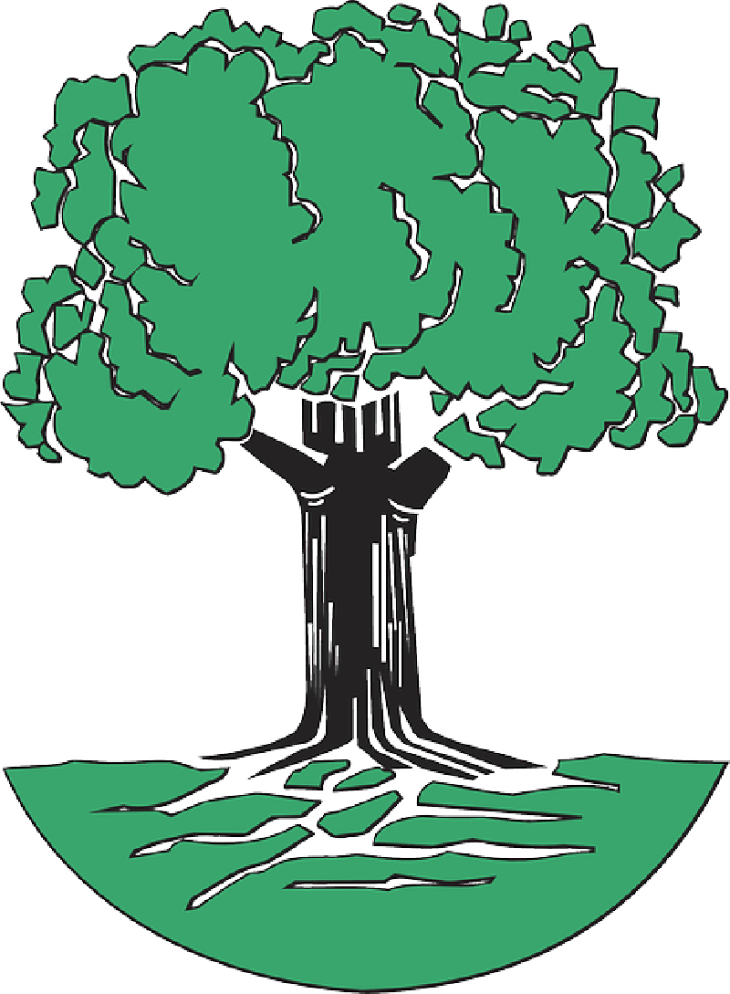 GREEN, TREE, ROOTS, CARTOON, FREE, TREES, PLANT, LEAVES - Public ...