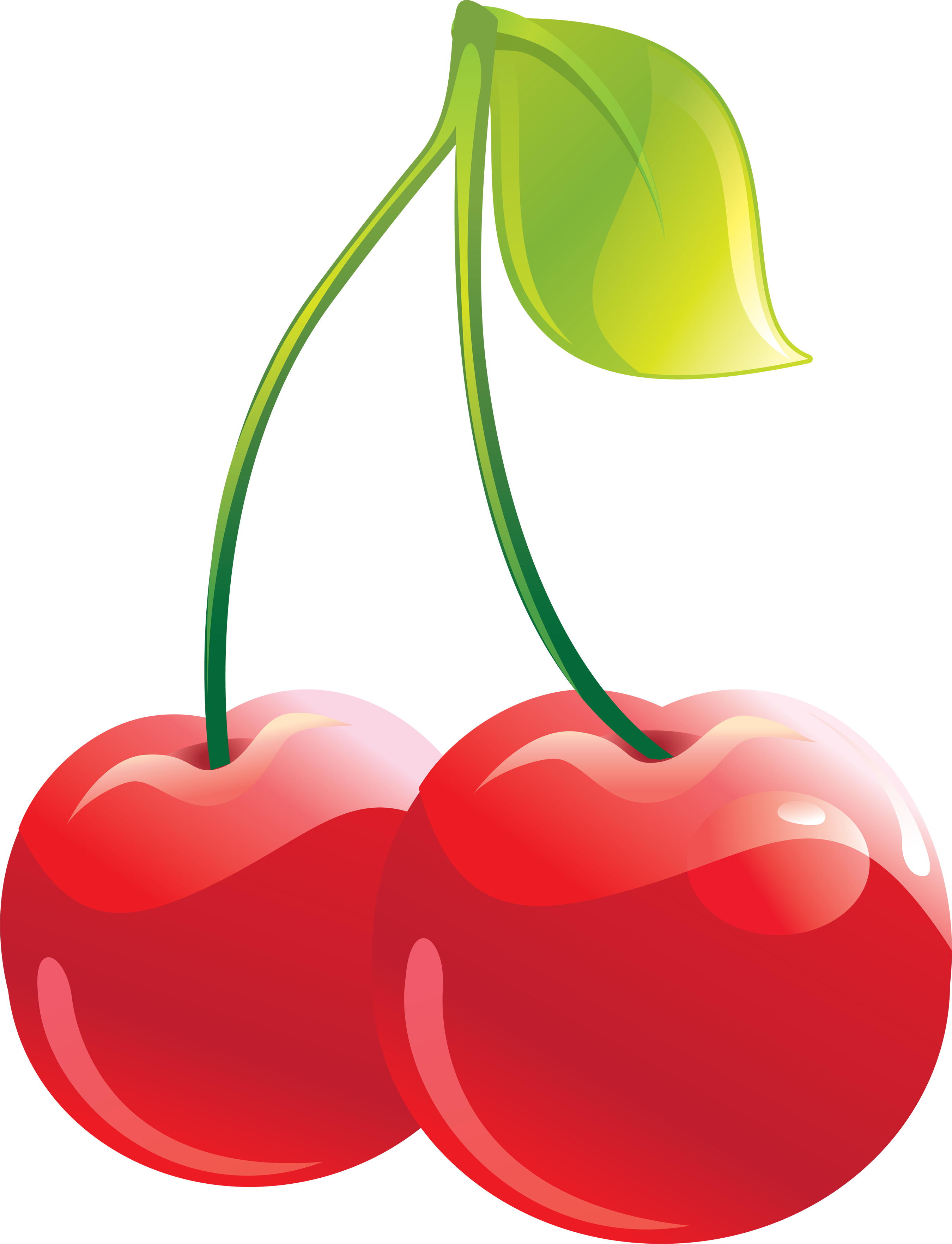 Cherry Clipart