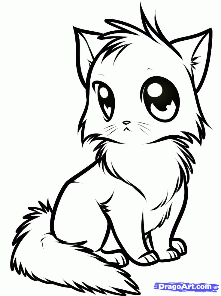 Cute Cat Drawing | Cute Drawings ...