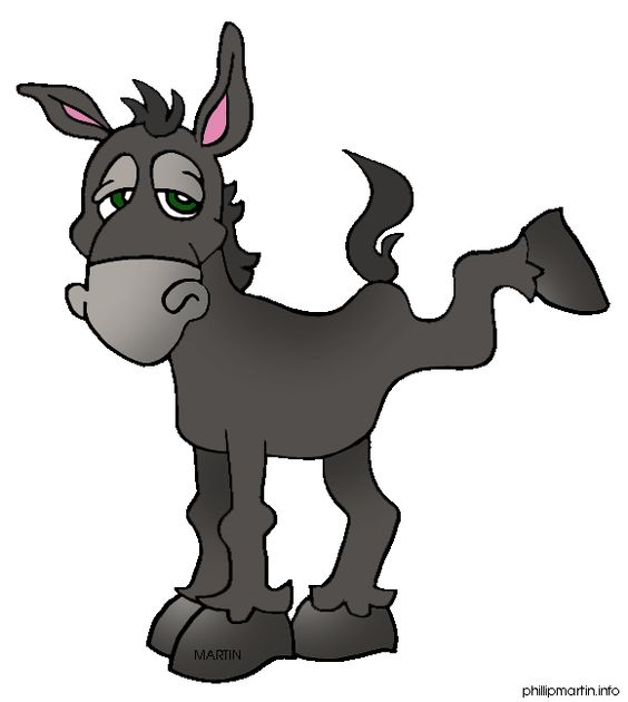 Donkey kicks, Mexico and Donkeys