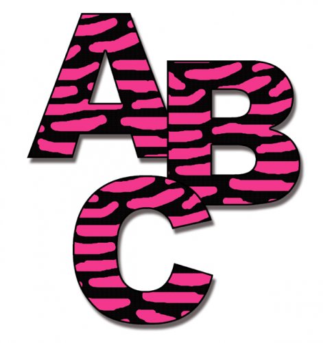 Hot Pink Zebra Print Wallpaper Border Wall Decals Teen Girl Room ...