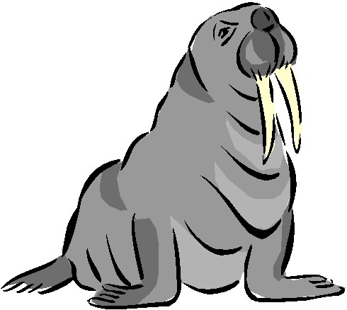 Walrus Clipart Walrus Clip Art