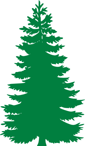 Cartoon Pine Tree