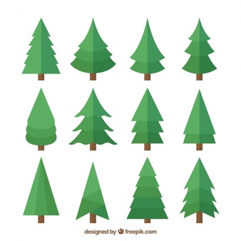 Pine Vectors, Photos and PSD files | Free Download