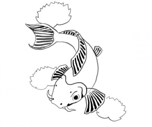 Fish Drawings | Drawings In Pencil ...