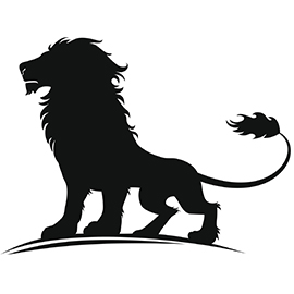 Lion Tattoos For Men