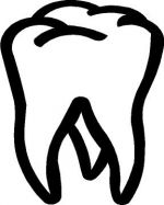 Molar - ClipArt Best