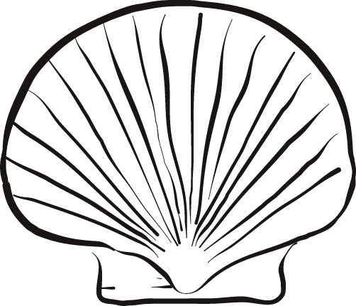 Seashell Coloring Pages - Bestofcoloring.com