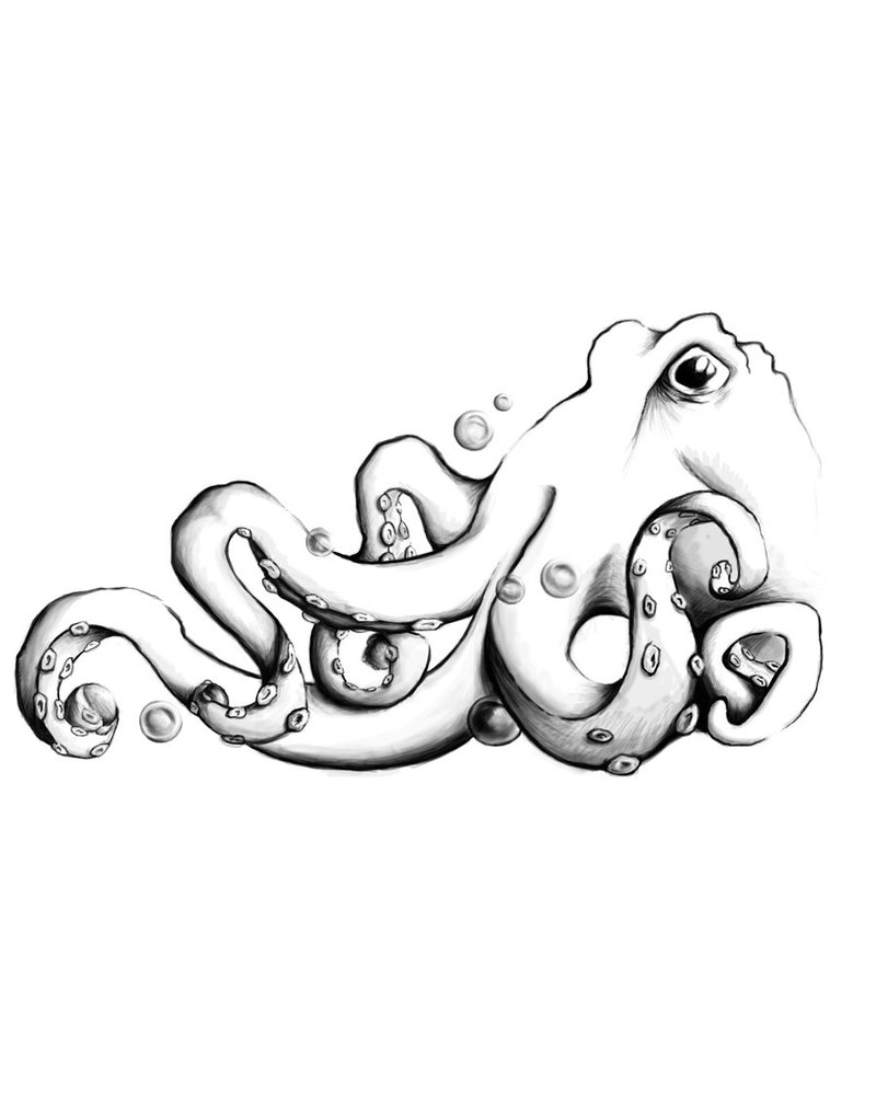 Seaweed, Sketches and Search