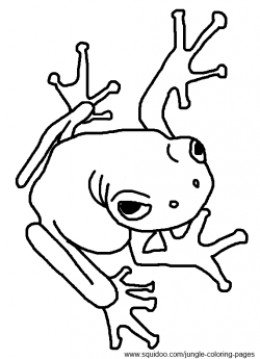 Coloring Pages Rainforest Trees