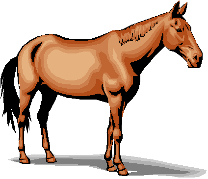 no cost horse bike racing tips quarterly report | fascinating ...