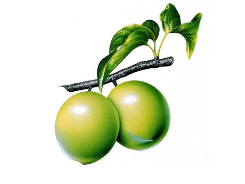Guava Wallpaper