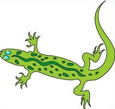 Free Gecko Clipart