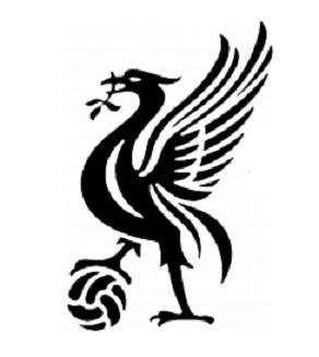 1000+ images about tattoos | Birds, Celtic dragon and ...