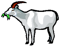 â?· Goats: Animated Images, Gifs, Pictures & Animations - 100% FREE!