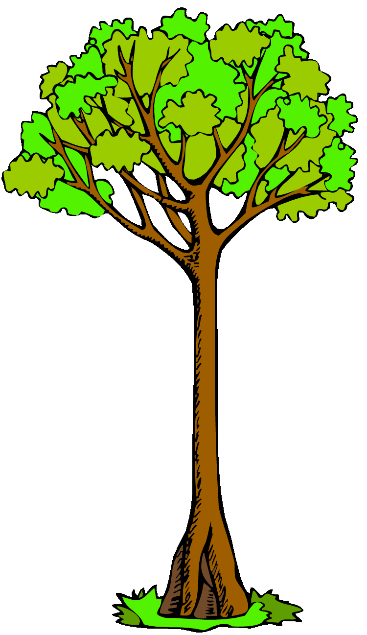 Blank Family Tree Clip Art Family Tree Clipart By - Cliparts and ...