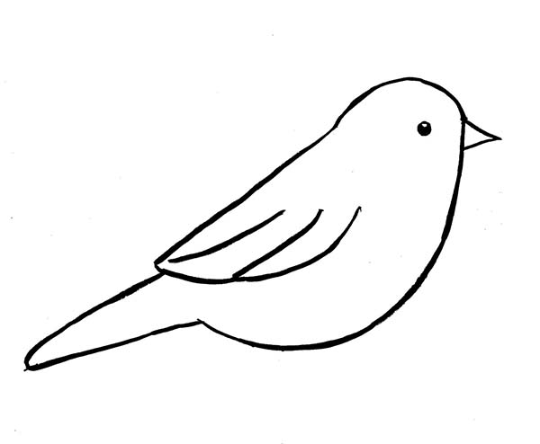 Maine State Bird Chickadee Coloring Page: Maine State Bird ...