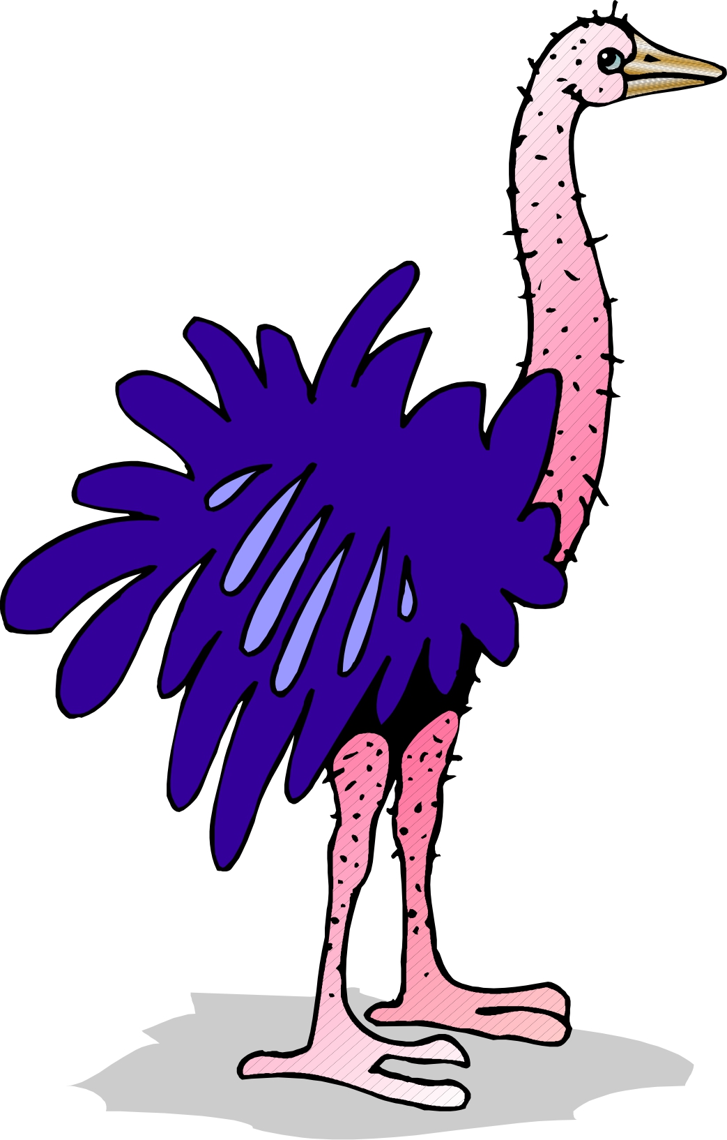 Cartoon Ostrich - ClipArt Best