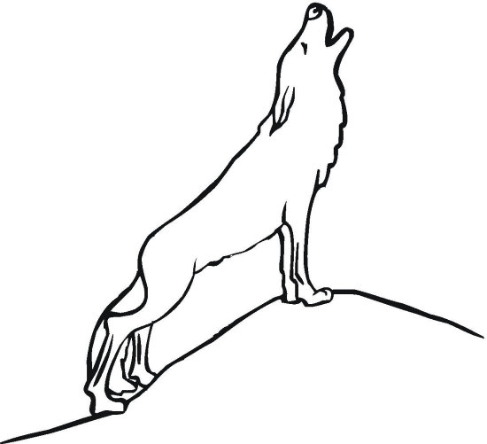Simple Wolf Drawings