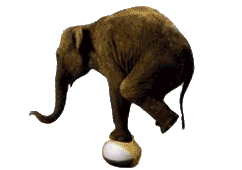 â?· Elephants: Animated Images, Gifs, Pictures & Animations - 100 ...