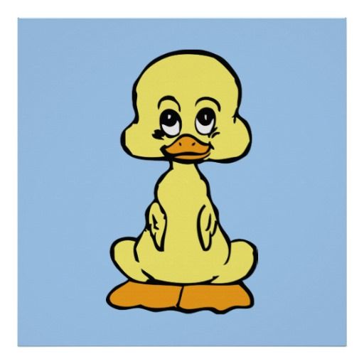 1000+ images about Ducks