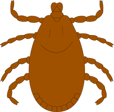 Protect Your Pets from Fleas and Ticks | Danbury Animal Welfare ...