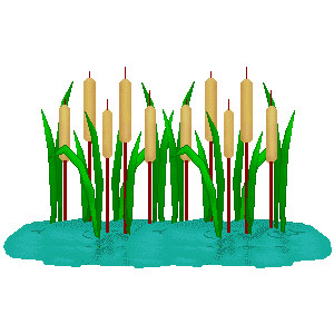 Cattail Clip Art - Free Cattail Clip Art - Clip art of Catta ...